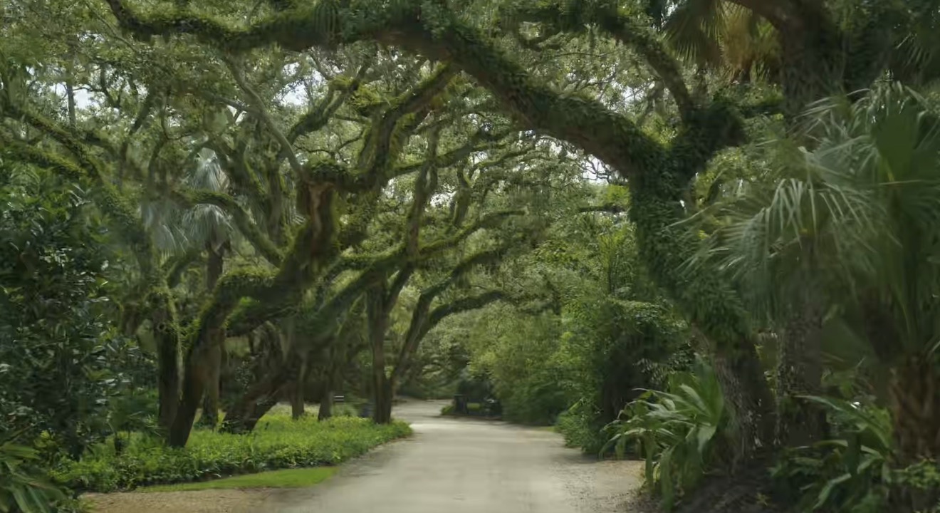 Oak-canopied road in Central Beach, Vero Beach